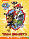 Cover image for Team Numbers